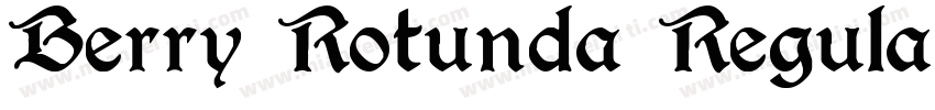 Berry Rotunda Regula字体转换